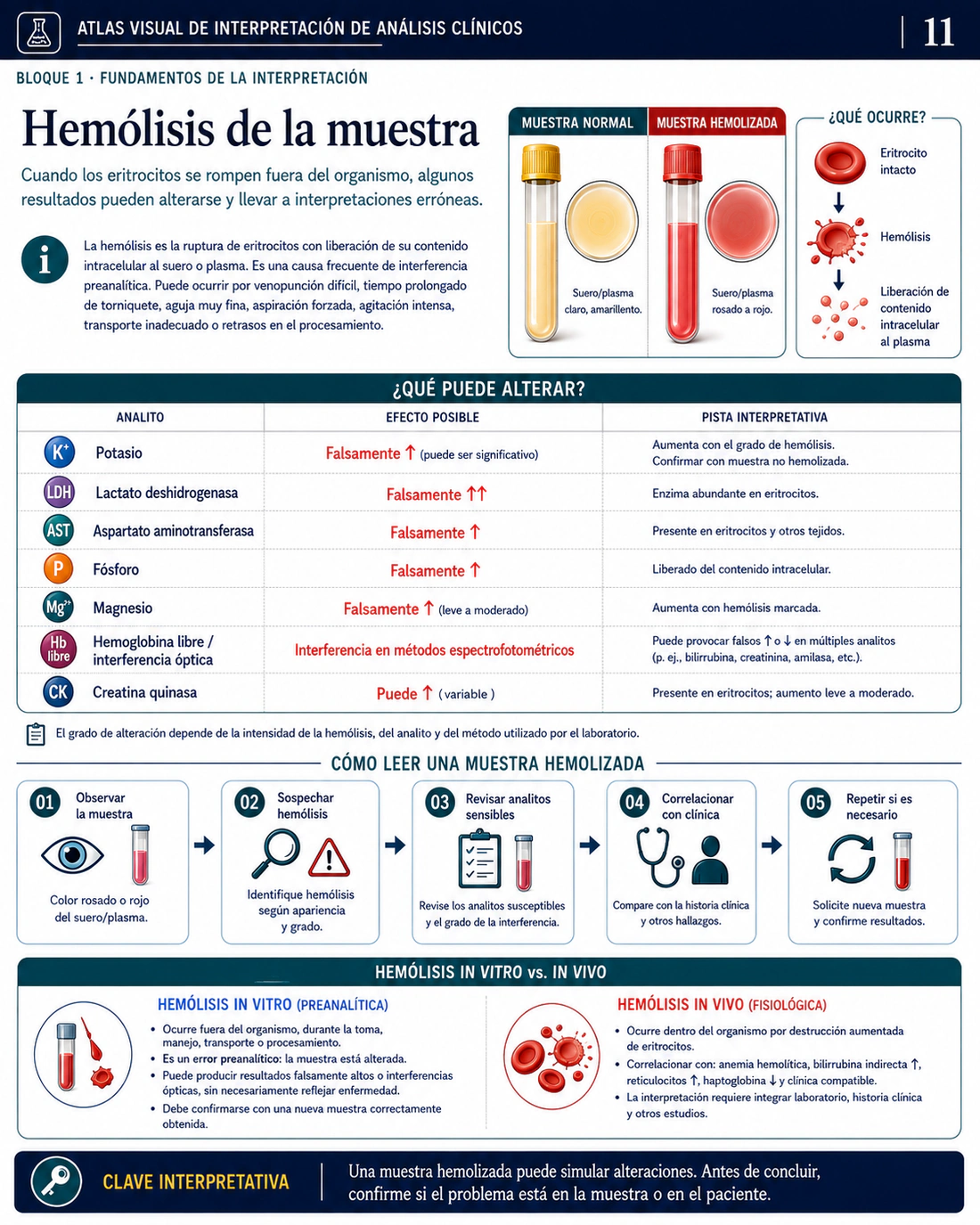 Página 11 del Atlas Visual de Interpretación de Análisis Clínicos