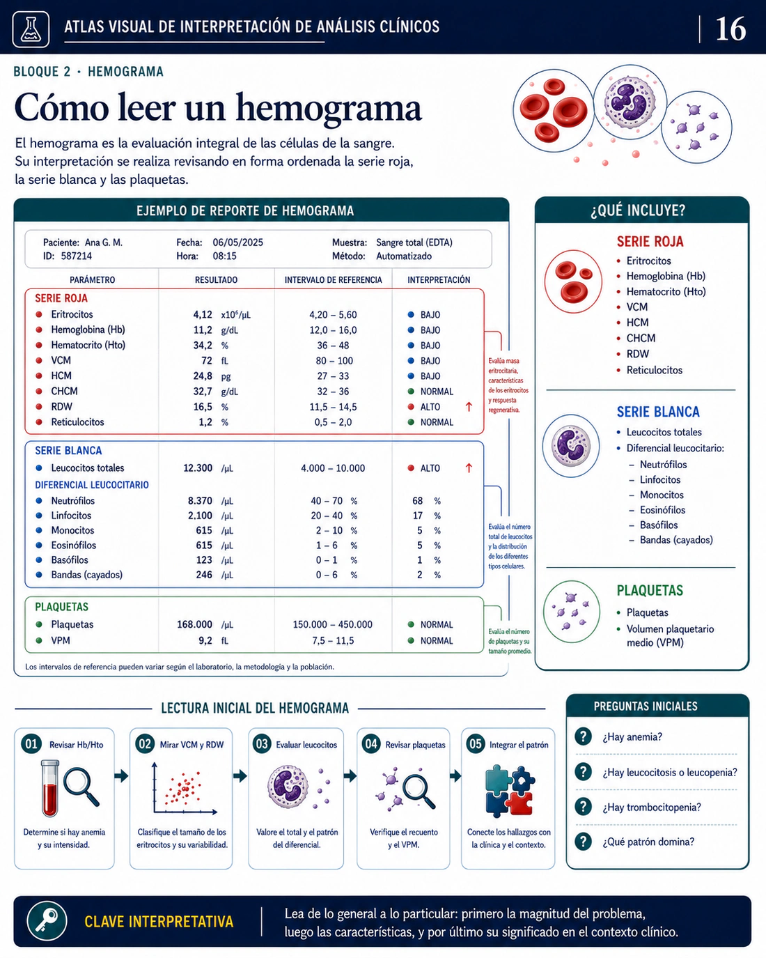 Página 16 del Atlas Visual de Interpretación de Análisis Clínicos
